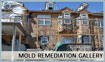 Mold Remediation - Gallery